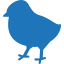 chick-quality